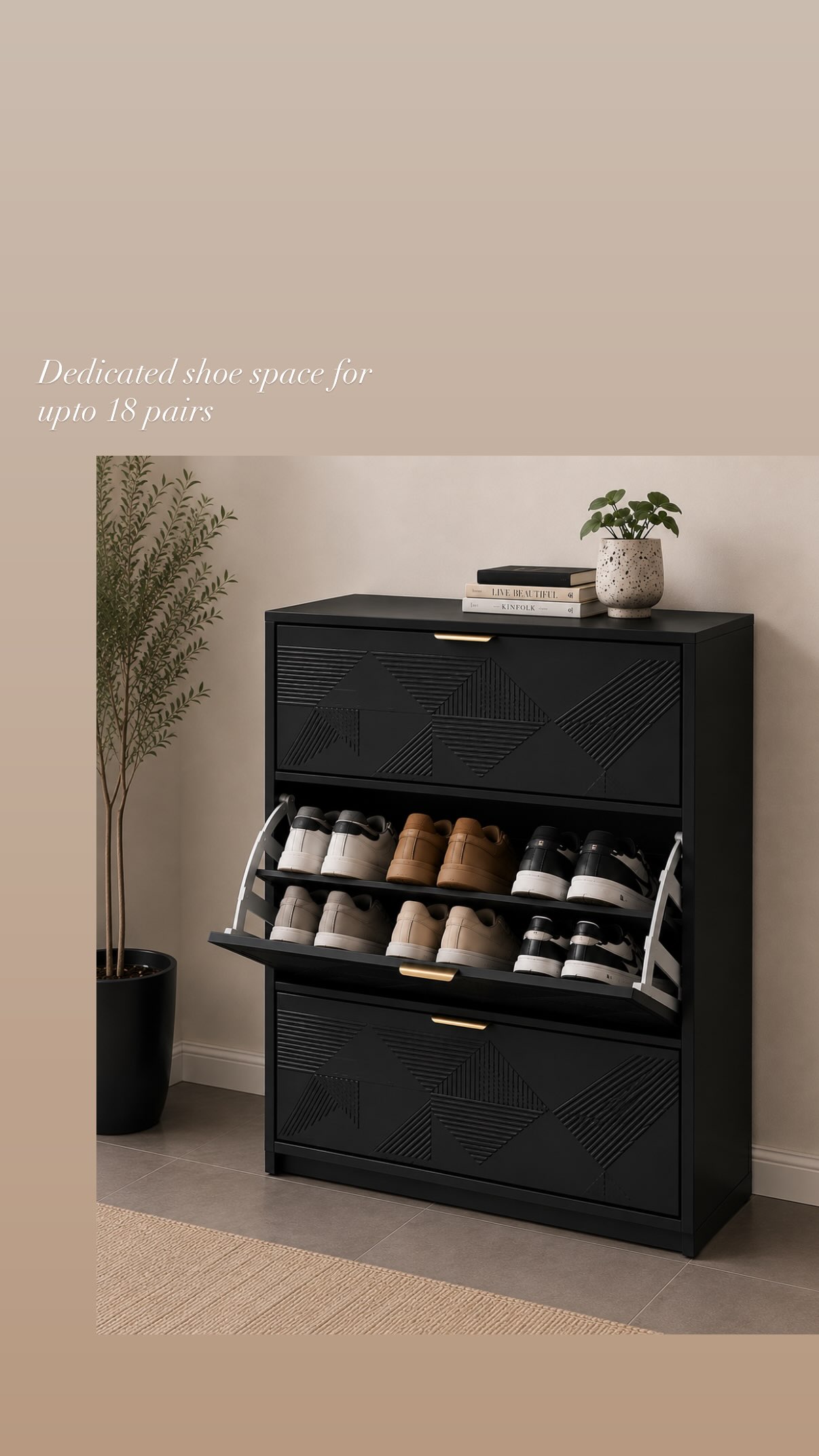 Prism Shoe Cabinet